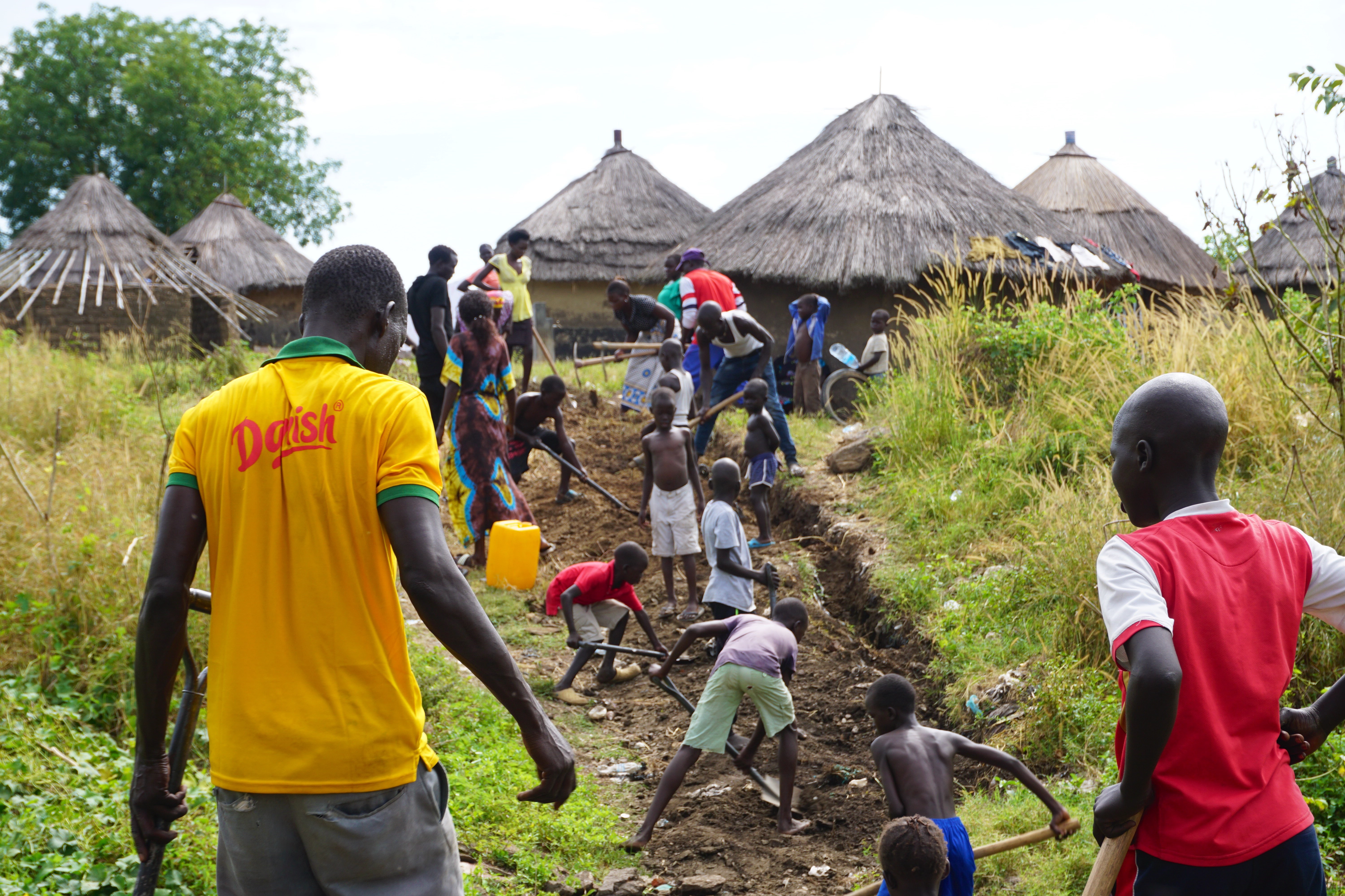 Nimule1